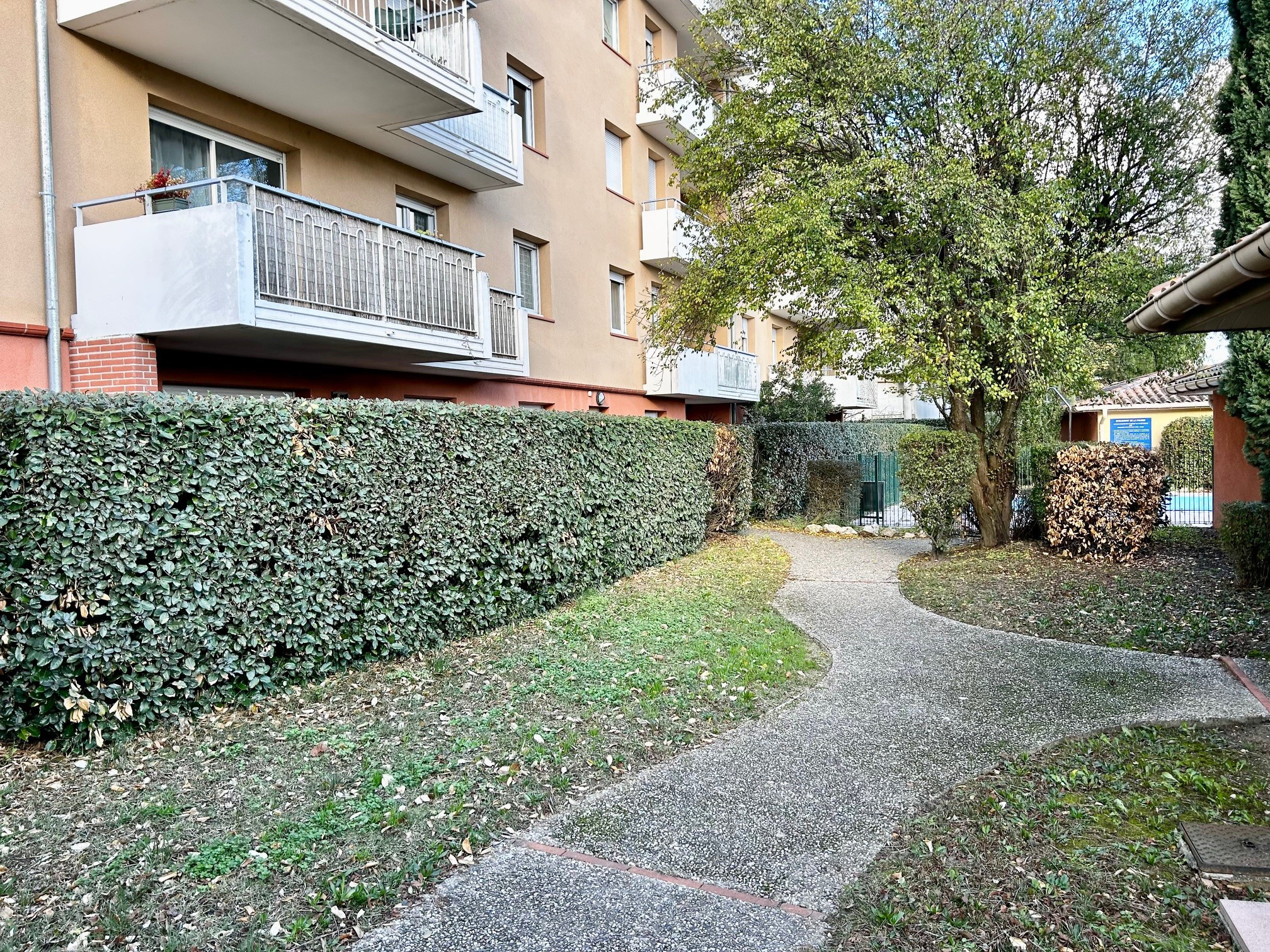 photo_5aa258cc8eb447b1d512176b2be07ae7